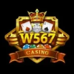 W567 Game