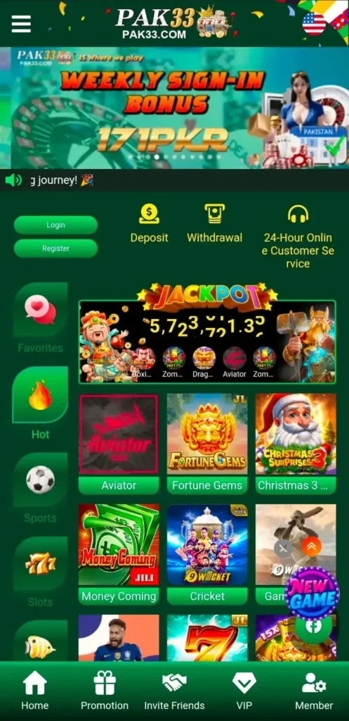 PAK33 Game interface screenshot image