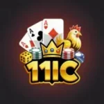 11ic Game